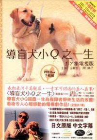 导盲犬小Q之一生